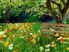 -名花谷生态庄园