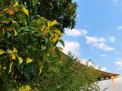 -杭州城北体育公园