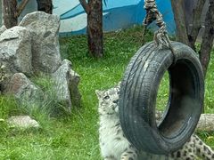 -青藏高原野生动物园