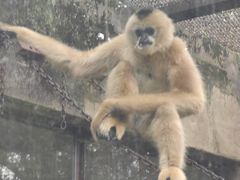 -昆明动物园