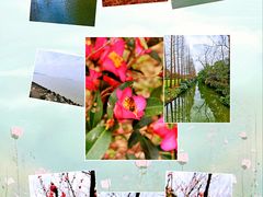 -上海滨江森林公园