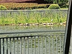 -白塘生态植物园