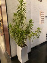 -一東造型烫发染发