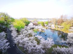 -南京城墙景区
