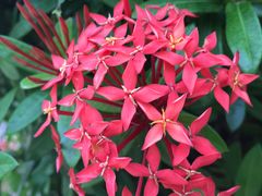 -三亚珠江南田温泉度假区