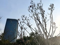 -上海世纪汇广场