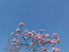 -堤角公园