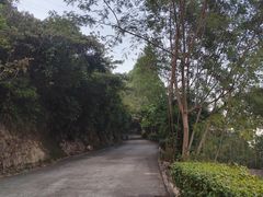 -小南山公园