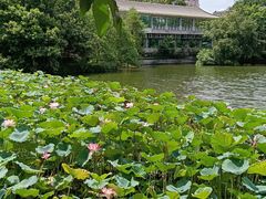 -荔湾湖公园