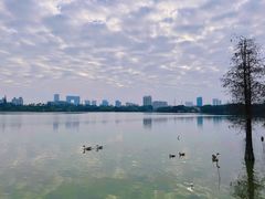 -海珠湖公园
