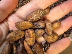 -歌斐颂巧克力小镇