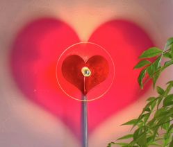 -花隐·美芙炫海菲秀皮肤管理中心