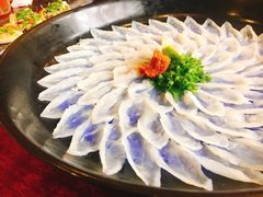 河鲀鱼菊盛薄切-天正河鲀·河豚亭(大连店)