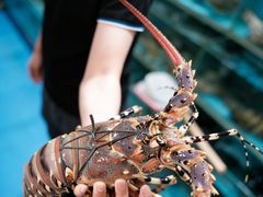 -强记海鲜·大排档(蛇口新街店)