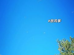 -海淀公园