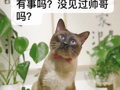 -Double Rui宠物酒店