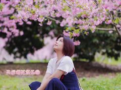 -天适樱花悠乐园