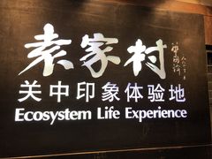 -袁家村关中印象体验地(大唐不夜城店)