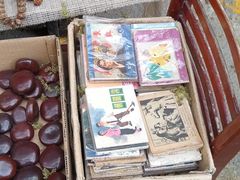 -沈阳道古物市场