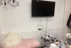 -Sakura Nail Studio美甲美睫