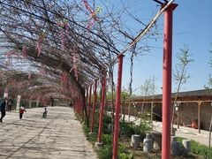 -河北村民俗体验园