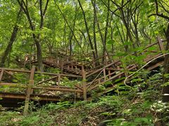 -大岭沟猕猴桃谷风景区