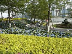 -北外滩滨江绿地
