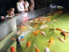 -正佳雨林生态植物园