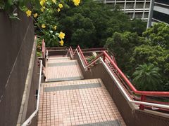 -香港大学