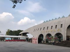 -自贡恐龙博物馆