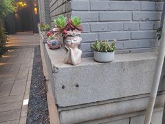 -庐灶江南·江南菜·四合院Bistro(东直门雍和宫·原华侨宾馆店)