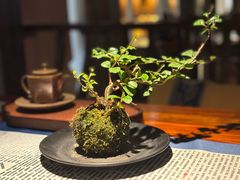 -中和·国风茶馆(愚园路店)