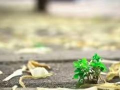 -终南山古楼观历史文化景区