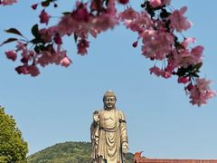 -灵山胜境