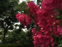 -厦门艾美酒店·新食谱西餐厅