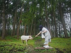 -硗碛藏寨·神木垒景区