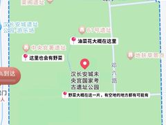 -汉长安城未央宫国家考古遗址公园