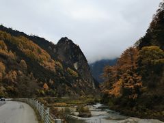 -卧龙自然保护区
