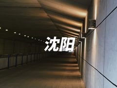 -沈阳南站