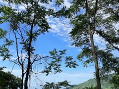 -秦岭终南山世界地质公园翠华山景区