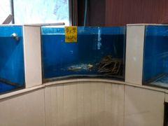 水产区-北塘海鲜·天津菜(大光明桥旗舰店)