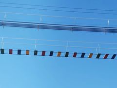 -绵阳盛世樱花悠乐谷