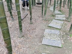 -陶祖圣境风景区