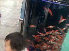 -李村大集
