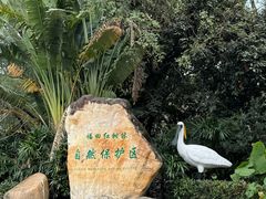 -福田红树林生态公园