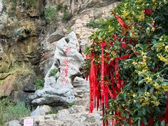-徐州龟山景区