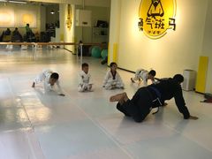 -勇气斑马·巴西柔术&跆拳道(浦东三林店)