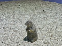 -顺德南宏海立方海洋公园