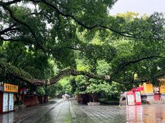 -桂林独秀峰王城景区
