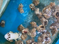 -聚德福海鲜家常菜(刘庄店)